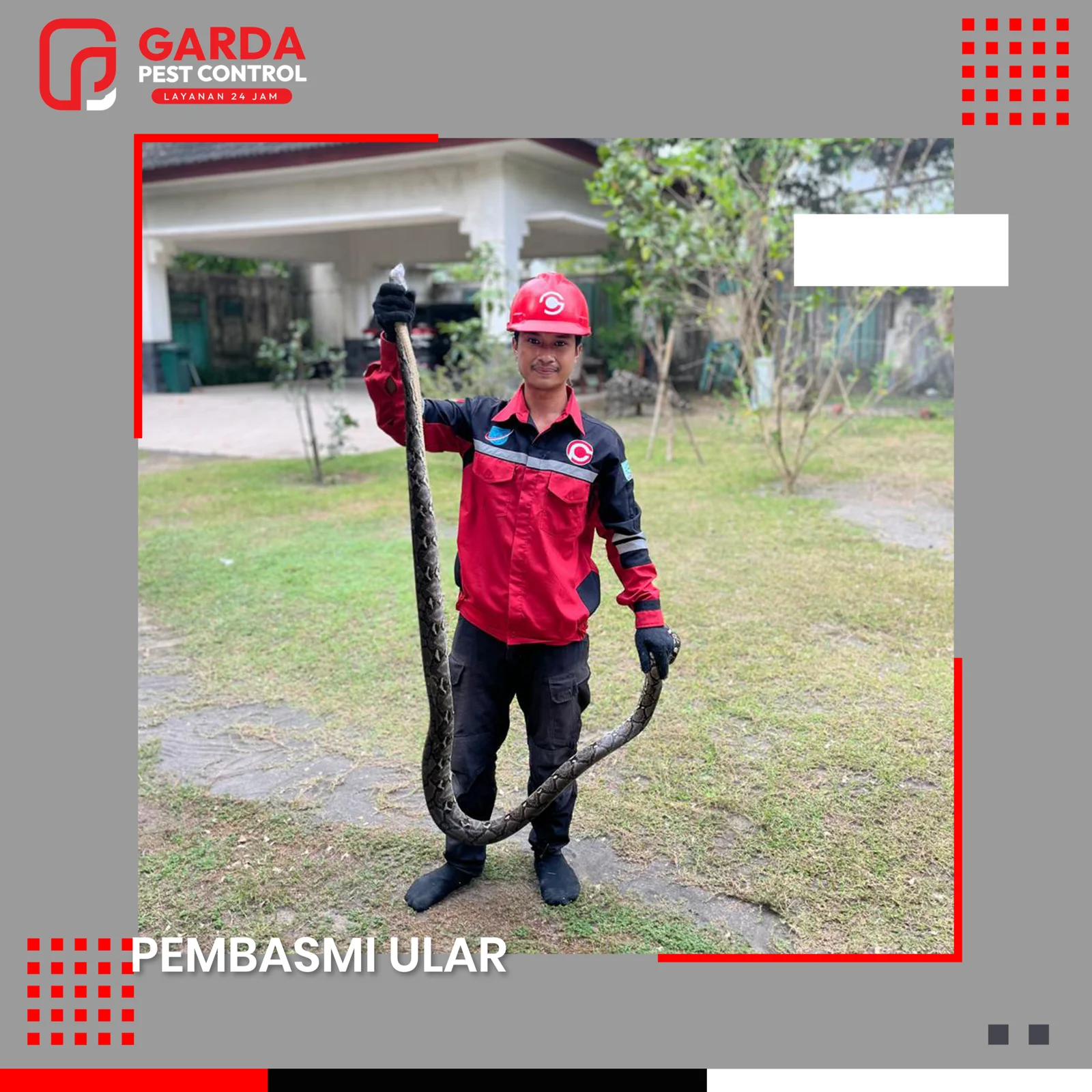 Jasa Pawang Ular di Garut