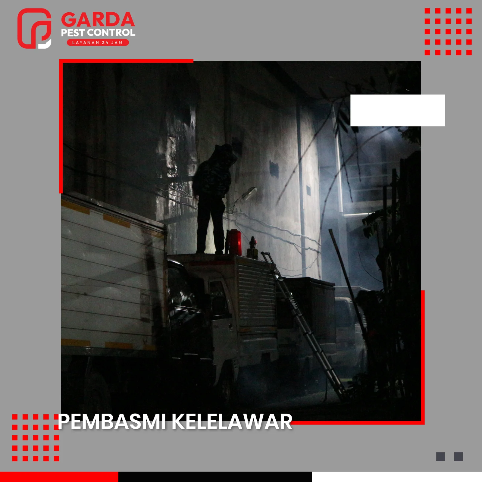 Jasa Pembasmi Kelelawar di Garut