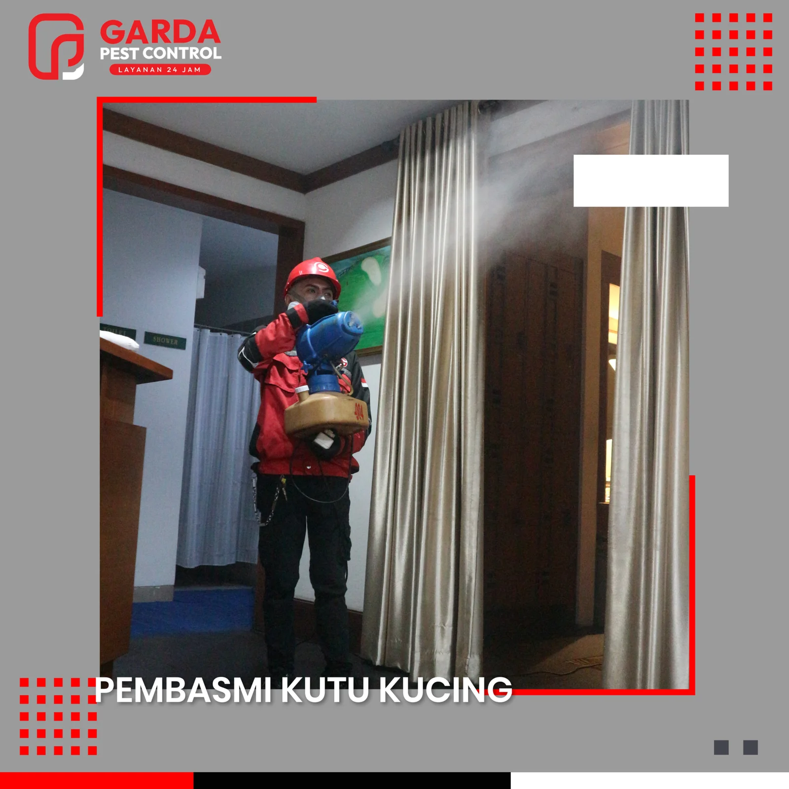 Jasa Pembasmi Kutu Kucing di Garut