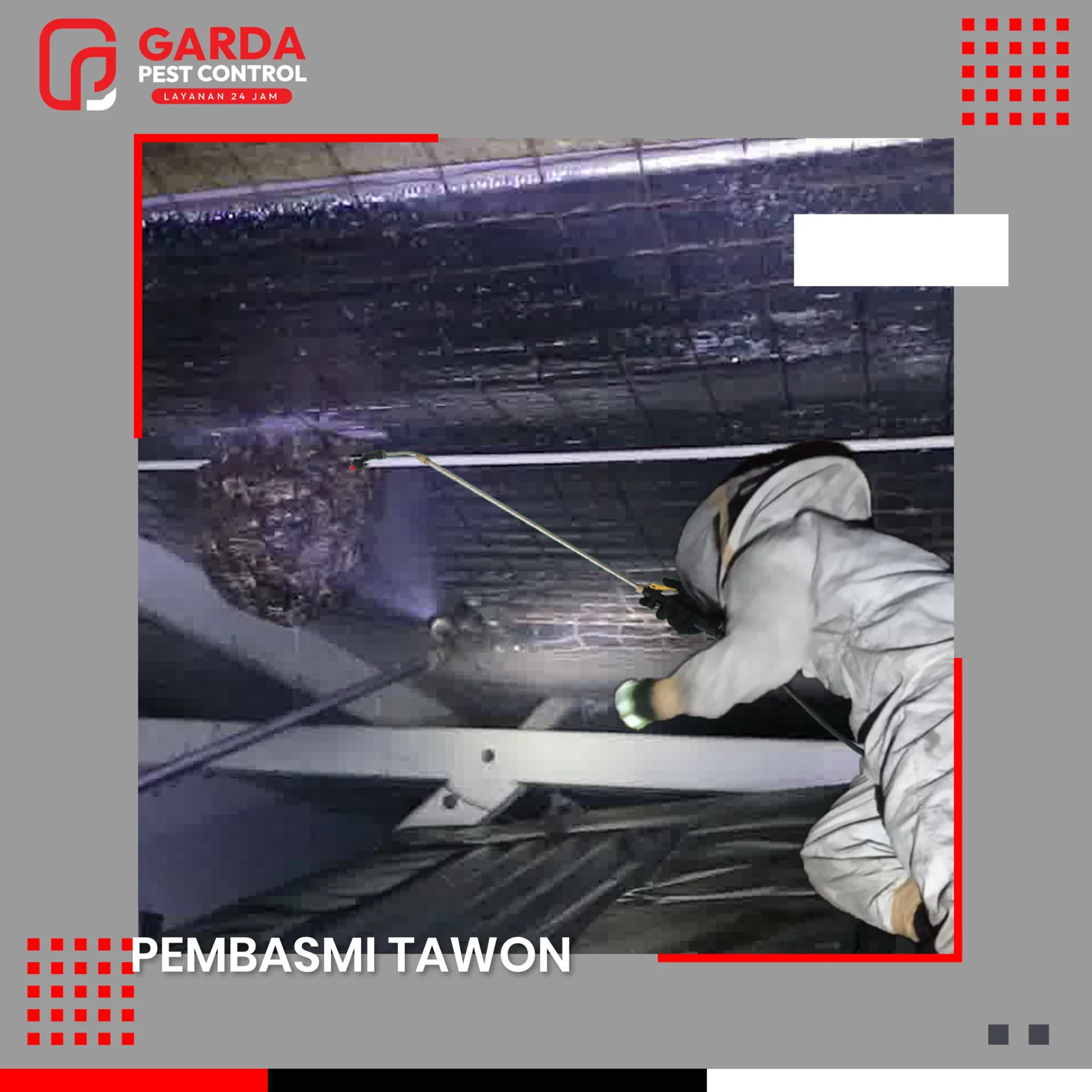 Jasa Pembasmi Tawon di Garut