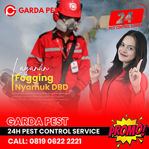 Promo Jasa Fogging Nyamuk di Garut Murah