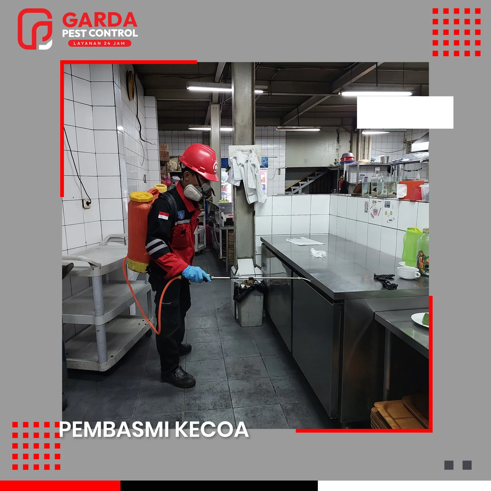 Jasa Pembasmi Kecoa di Garut