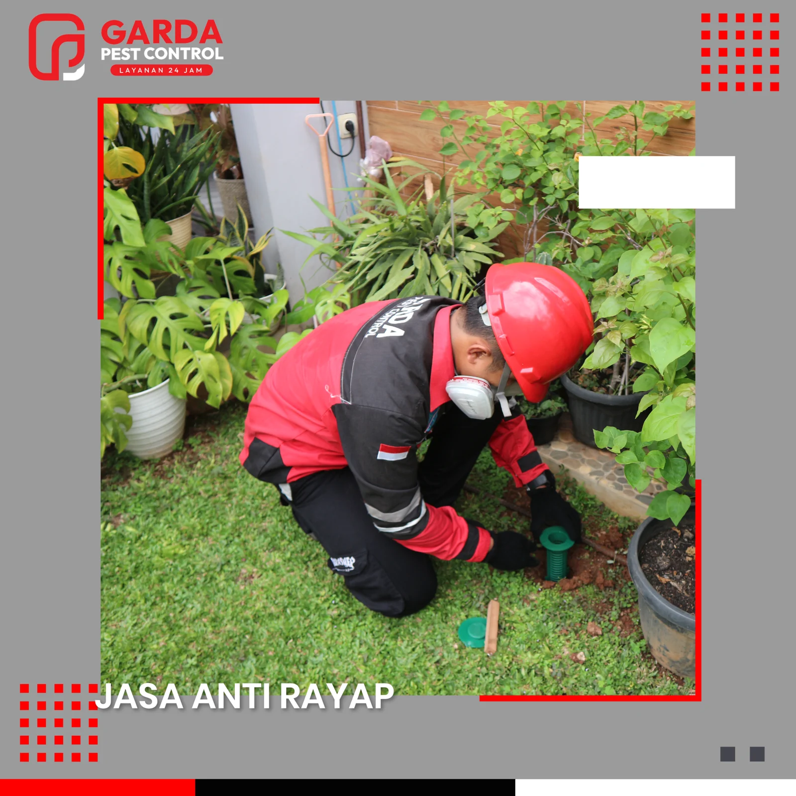 Jasa Anti Rayap di Garut