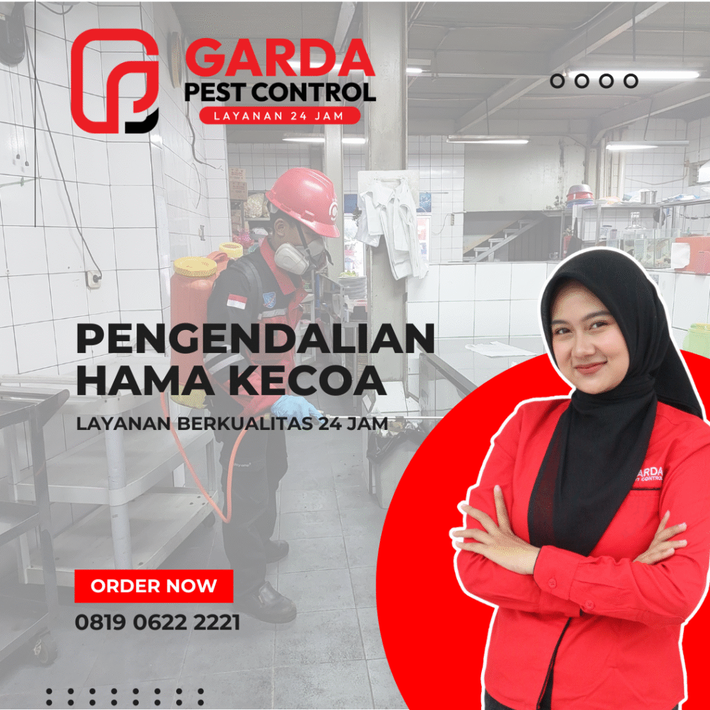 Jasa Pembasmi Kecoa di Garut | Untuk Tempat Usaha & Rumah