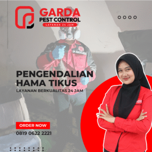 Jasa Pembasmi Tikus Profesional di Garut
