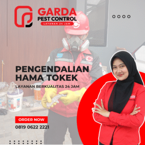 Jasa Pembasmi Cicak di Garut | Tanggal Merah Tetap Melayani