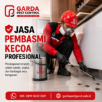 Harga Jasa Pembasmi Kecoa Garut yang Perlu Anda Tahu Sebelum Memesan