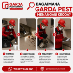 Harga Jasa Pembasmi Kecoa di Garut: Kisaran Biaya, Faktor Penentu, dan Cara Memilih Layanan yang Tepat