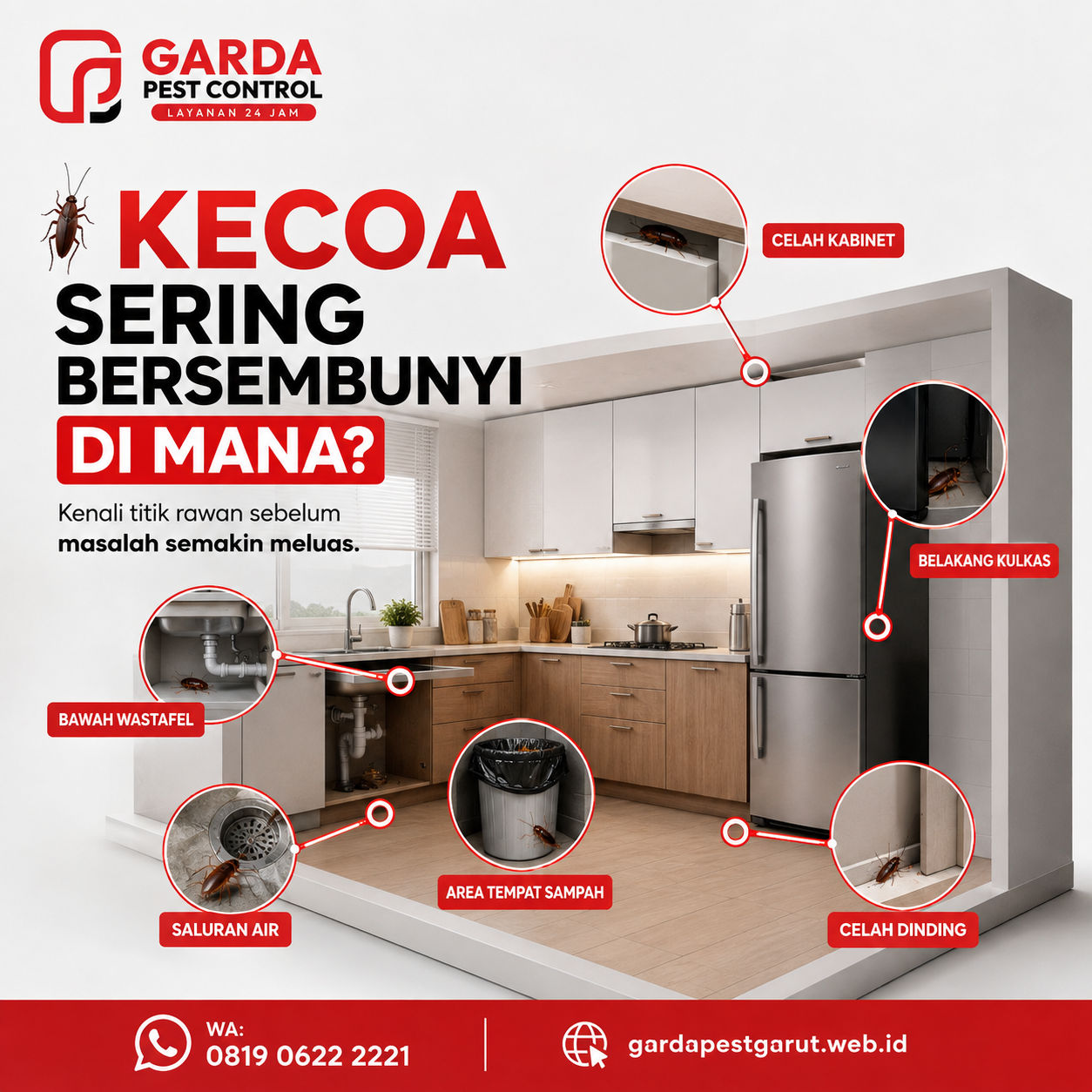 Cara Mengatasi Kecoa di Dapur Secara Efektif untuk Dapur yang Lebih Bersih