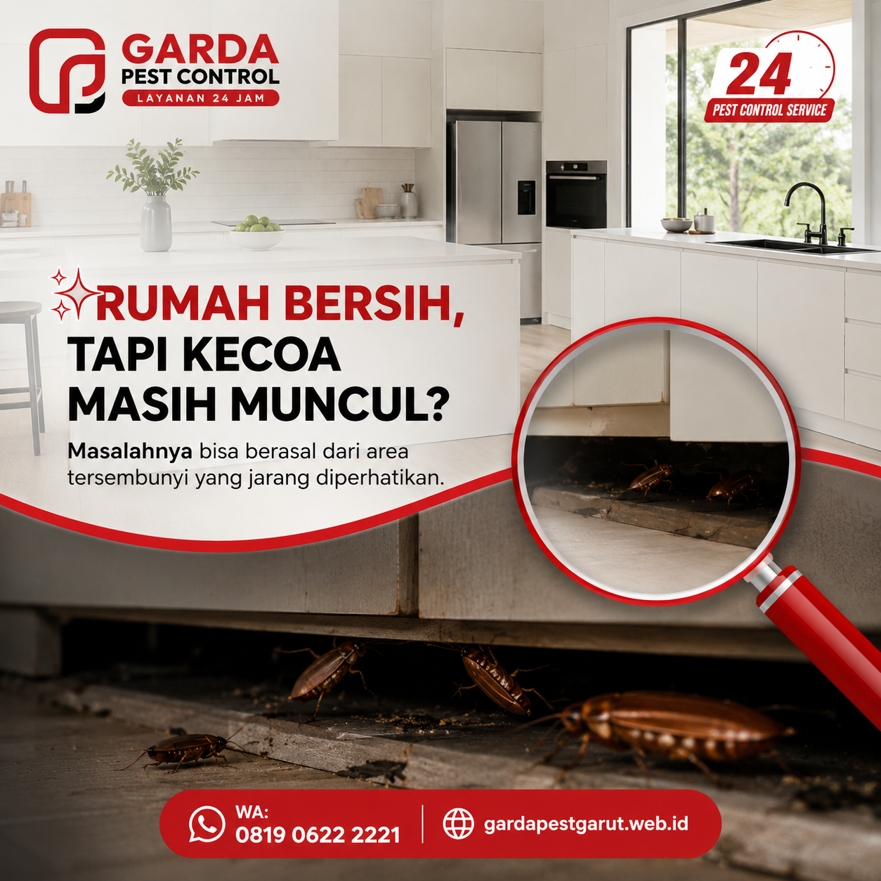 Cara Mengatasi Kecoa di Dapur Secara Efektif untuk Dapur yang Lebih Bersih